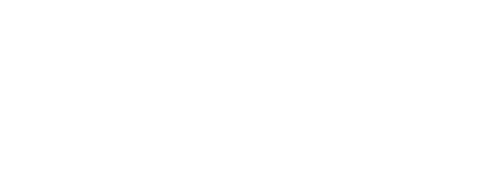 Logotipo dragón blanco